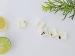 Load image into Gallery viewer, Aqua Vitae Luxury Scented Wax Melts x5