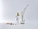 Load image into Gallery viewer, Coastline Luxury Scented Room Fragrance