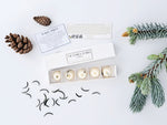 Load image into Gallery viewer, Nordic Spruce Luxury Scented Wax Melts x5