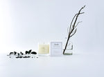 Load image into Gallery viewer, Oudh Luxury Scented Medium Candle