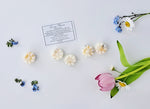 Load image into Gallery viewer, Spring Flowers Luxury Scented Wax Melts x5