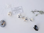 Load image into Gallery viewer, Aquamarine Luxury Scented Wax Melts x5
