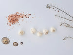 Load image into Gallery viewer, Coastline Luxury Scented Wax Melts x5
