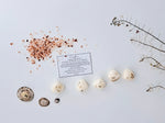 Load image into Gallery viewer, Coastline Luxury Scented Wax Melts x5
