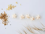 Load image into Gallery viewer, Eastern Star Luxury Scented Wax Melts x5
