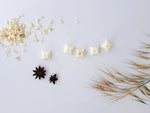 Load image into Gallery viewer, Elysium Luxury Scented Wax Melts x5
