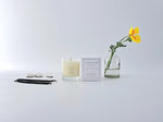 Load image into Gallery viewer, Island Escape Luxury Scented Medium Candle
