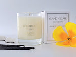 Load image into Gallery viewer, Island Escape Luxury Scented Medium Candle
