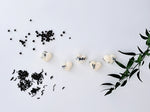 Load image into Gallery viewer, Lignum Luxury Scented Wax Melts x5
