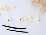 Load image into Gallery viewer, Lorem Luxury Scented Wax Melts x5
