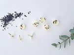 Load image into Gallery viewer, Neroli Spa Luxury Scented Wax Melts x5
