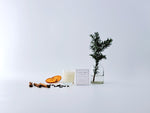 Load image into Gallery viewer, Winter Spice Luxury Scented Votive Candle
